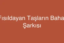 Fısıldayan Taşların Bahar Şarkısı