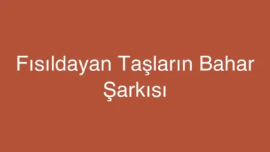 Fısıldayan Taşların Bahar Şarkısı