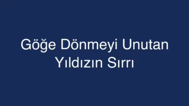 Göğe Dönmeyi Unutan Yıldızın Sırrı