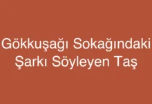 Gökkuşağı Sokağındaki Şarkı Söyleyen Taş