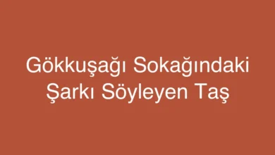 Gökkuşağı Sokağındaki Şarkı Söyleyen Taş
