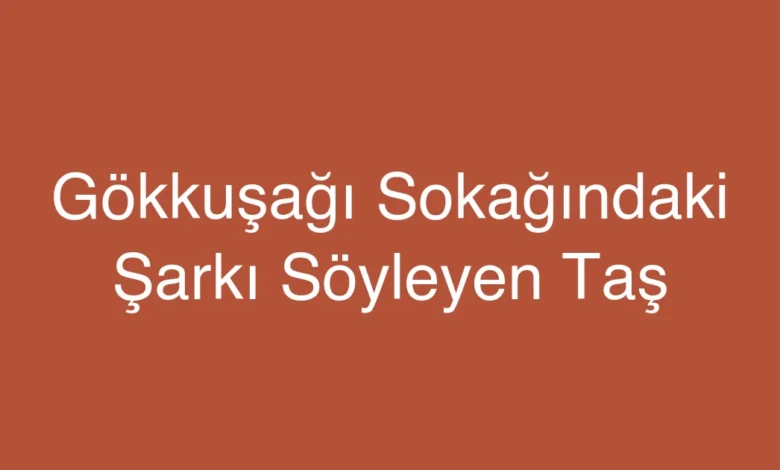 Gökkuşağı Sokağındaki Şarkı Söyleyen Taş