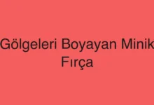Gölgeleri Boyayan Minik Fırça