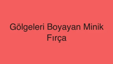 Gölgeleri Boyayan Minik Fırça