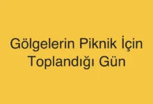 Gölgelerin Piknik İçin Toplandığı Gün