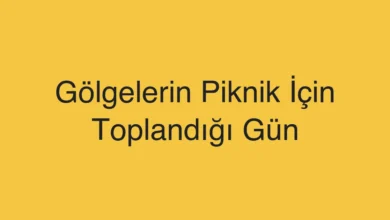 Gölgelerin Piknik İçin Toplandığı Gün