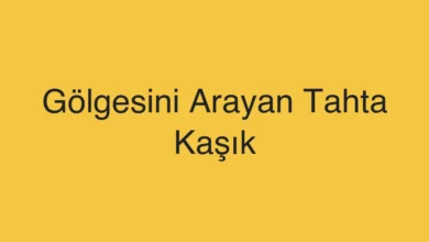 Gölgesini Arayan Tahta Kaşık