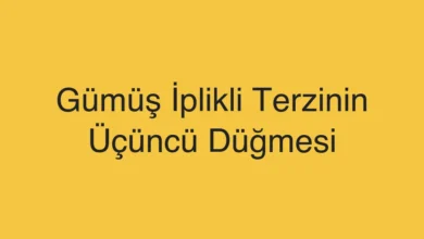 Gümüş İplikli Terzinin Üçüncü Düğmesi