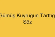 Gümüş Kuyruğun Tarttığı Söz