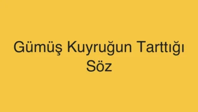 Gümüş Kuyruğun Tarttığı Söz