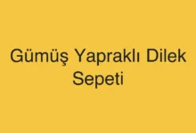 Gümüş Yapraklı Dilek Sepeti