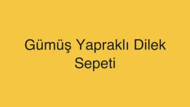 Gümüş Yapraklı Dilek Sepeti