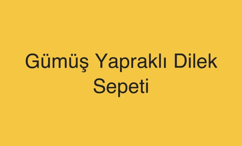 Gümüş Yapraklı Dilek Sepeti