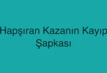 Hapşıran Kazanın Kayıp Şapkası