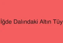 İğde Dalındaki Altın Tüy