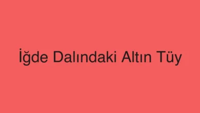 İğde Dalındaki Altın Tüy