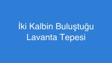 İki Kalbin Buluştuğu Lavanta Tepesi