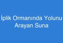 İplik Ormanında Yolunu Arayan Suna