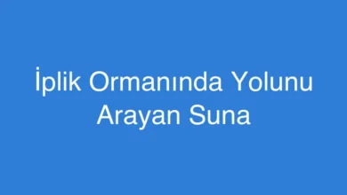 İplik Ormanında Yolunu Arayan Suna