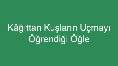 Kâğıttan Kuşların Uçmayı Öğrendiği Öğle