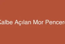 Kalbe Açılan Mor Pencere
