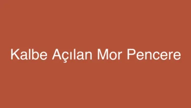 Kalbe Açılan Mor Pencere