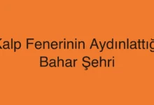 Kalp Fenerinin Aydınlattığı Bahar Şehri