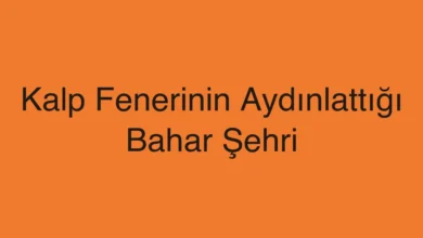 Kalp Fenerinin Aydınlattığı Bahar Şehri