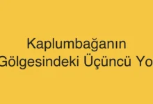 Kaplumbağanın Gölgesindeki Üçüncü Yol