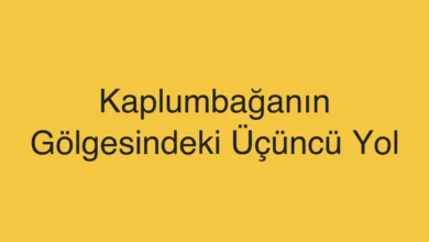 Kaplumbağanın Gölgesindeki Üçüncü Yol