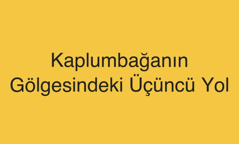 Kaplumbağanın Gölgesindeki Üçüncü Yol