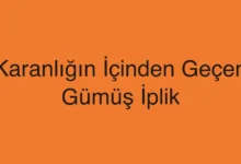 Karanlığın İçinden Geçen Gümüş İplik