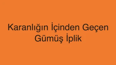 Karanlığın İçinden Geçen Gümüş İplik