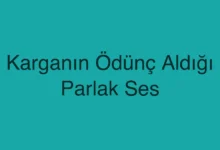 Karganın Ödünç Aldığı Parlak Ses