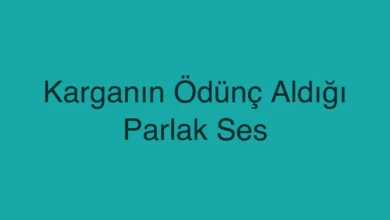 Karganın Ödünç Aldığı Parlak Ses