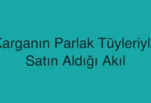 Karganın Parlak Tüyleriyle Satın Aldığı Akıl