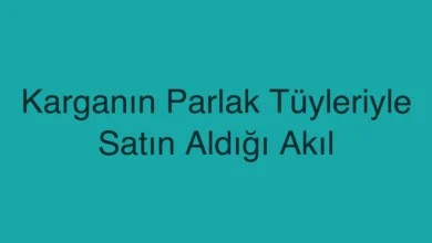 Karganın Parlak Tüyleriyle Satın Aldığı Akıl