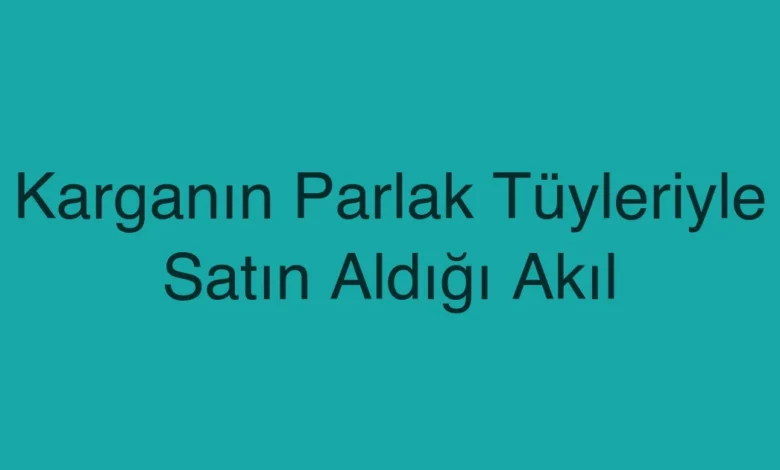 Karganın Parlak Tüyleriyle Satın Aldığı Akıl