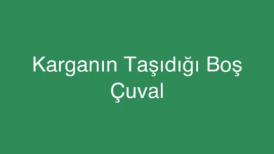 Karganın Taşıdığı Boş Çuval