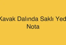 Kavak Dalında Saklı Yedi Nota