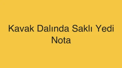 Kavak Dalında Saklı Yedi Nota