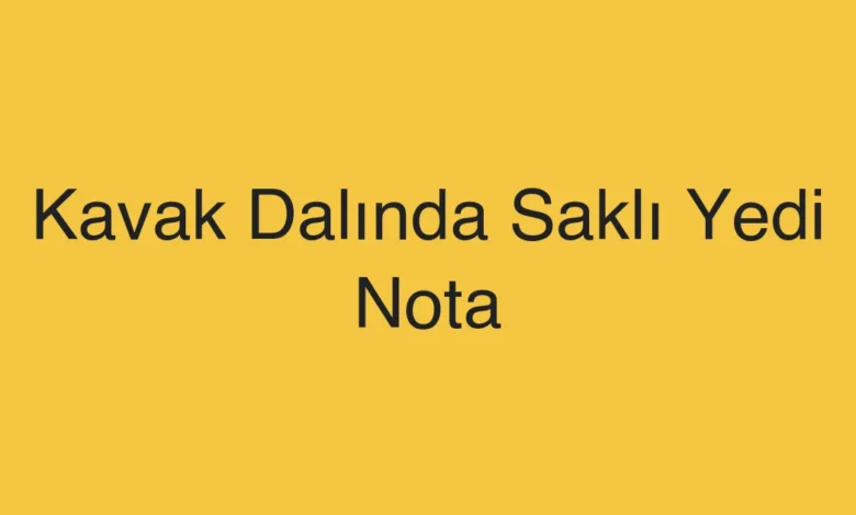 Kavak Dalında Saklı Yedi Nota