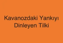 Kavanozdaki Yankıyı Dinleyen Tilki