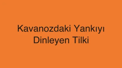 Kavanozdaki Yankıyı Dinleyen Tilki