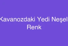 Kavanozdaki Yedi Neşeli Renk