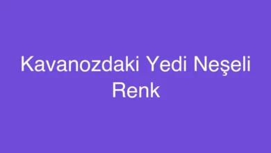 Kavanozdaki Yedi Neşeli Renk