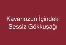 Kavanozun İçindeki Sessiz Gökkuşağı
