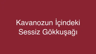 Kavanozun İçindeki Sessiz Gökkuşağı