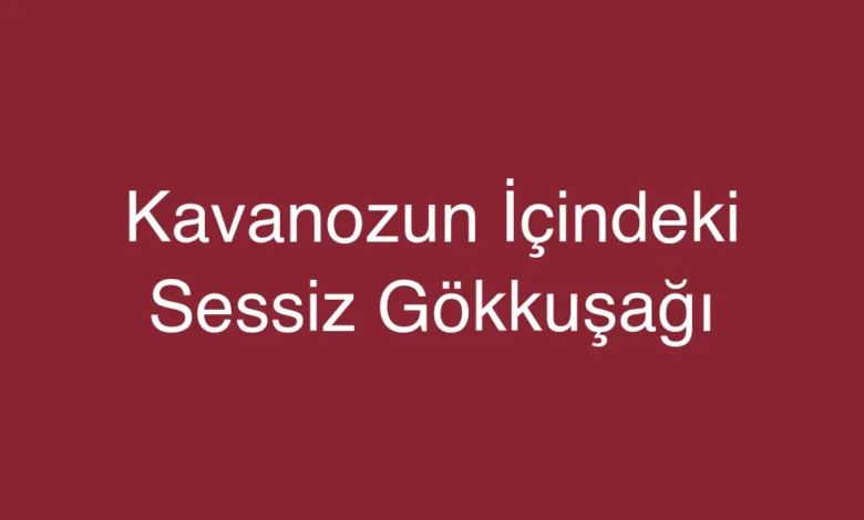 Kavanozun İçindeki Sessiz Gökkuşağı