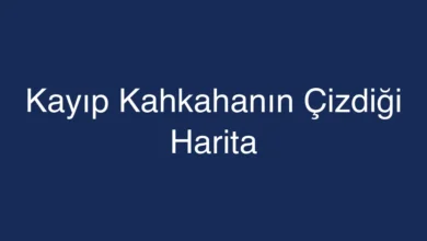 Kayıp Kahkahanın Çizdiği Harita